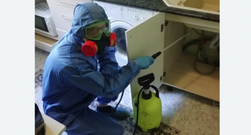 Уничтожение муравьев в квартире. Георгиевск