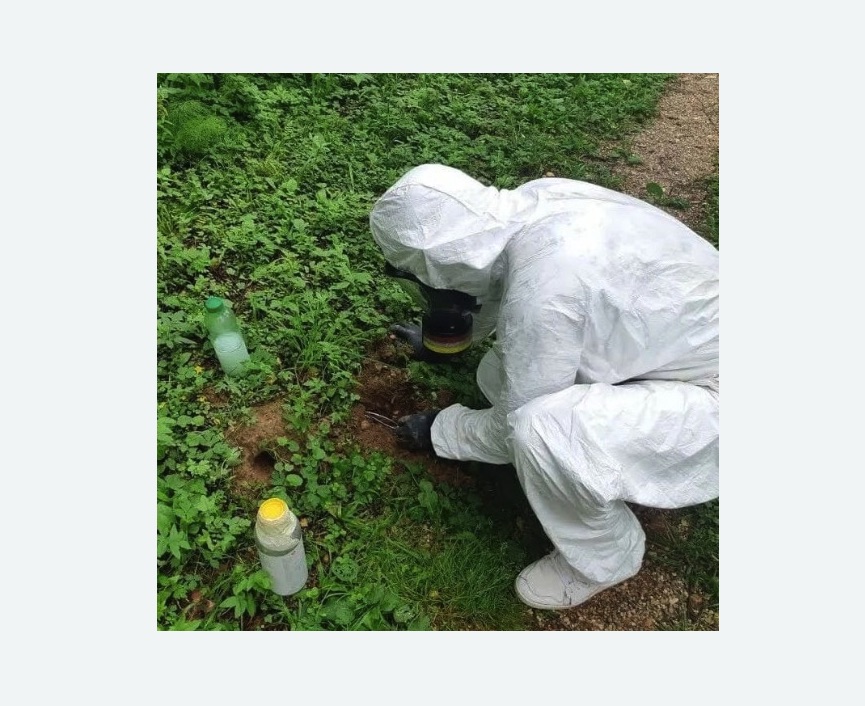 уничтожение кротов на участке уничтожение кротов на участке в Георгиевске